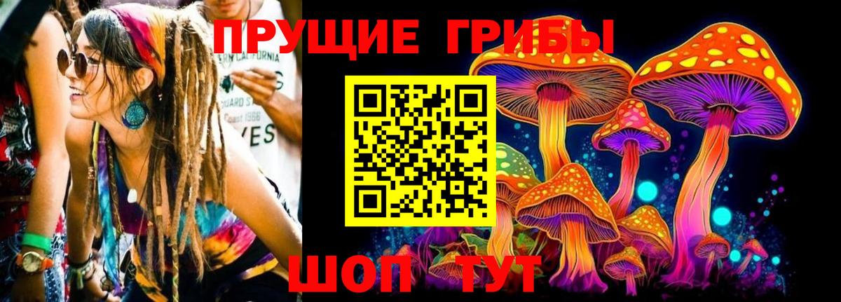 Галлюциногенные грибы прущие грибы Строитель
